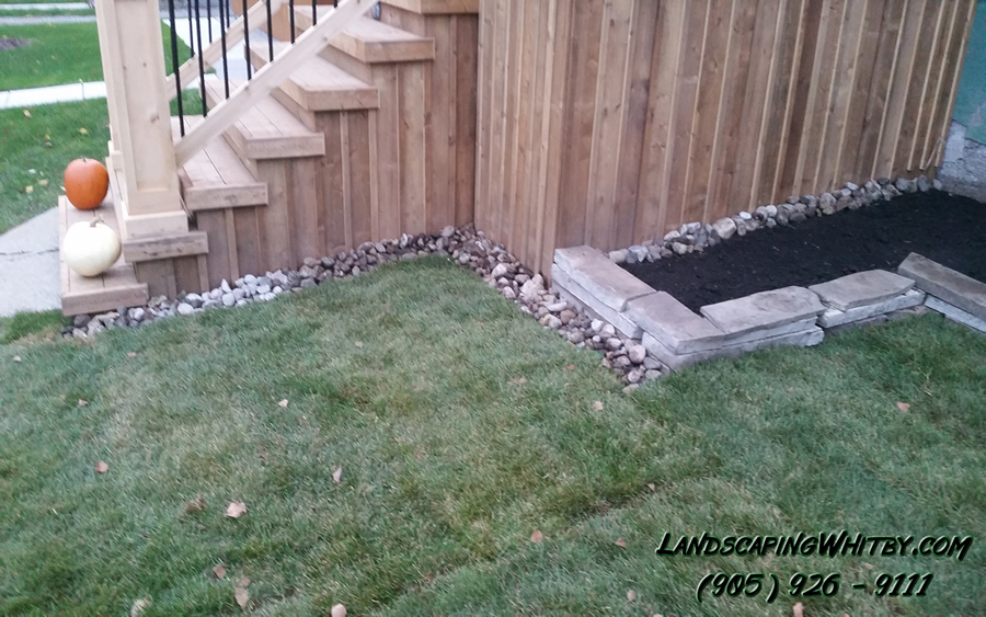 Front Yard Landscaping Sod